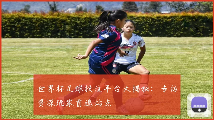 世界杯足球投注平台大揭秘：专访资深玩家首选站点