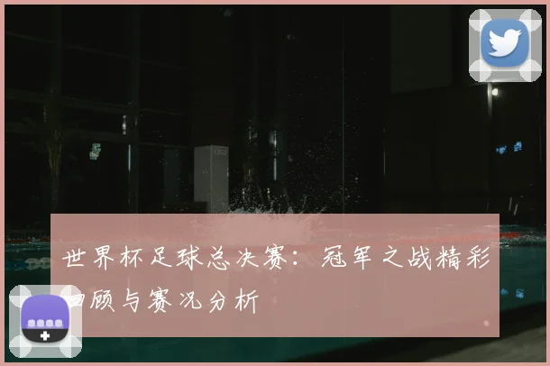世界杯足球总决赛：冠军之战精彩回顾与赛况分析