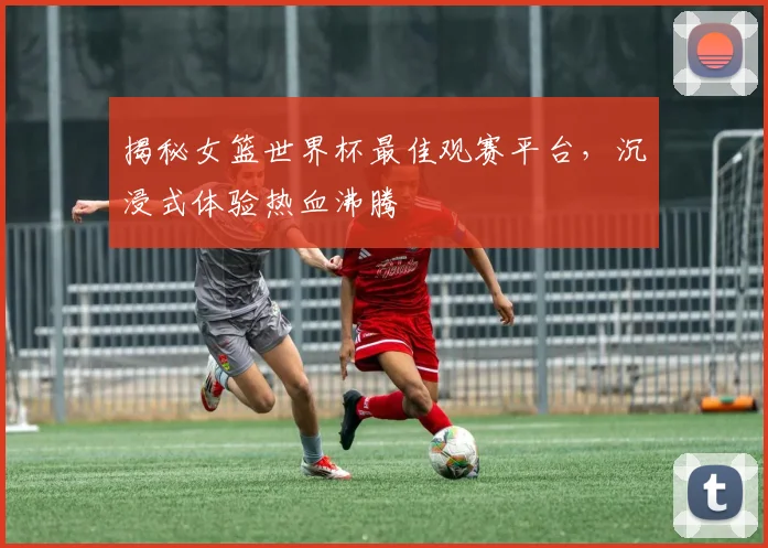 揭秘女篮世界杯最佳观赛平台，沉浸式体验热血沸腾