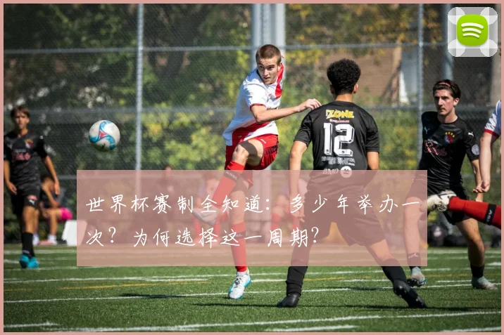 世界杯赛制全知道:多少年举办一次?为何选择这一周期?