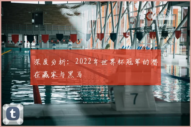深度分析：2022年世界杯冠军的潜在赢家与黑马