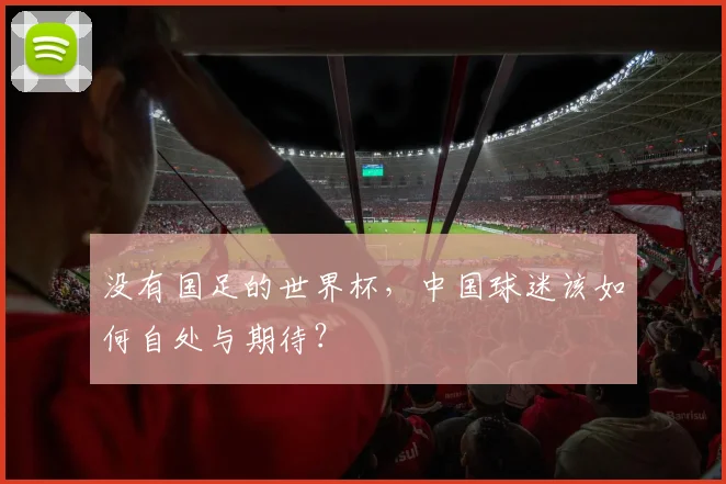 没有国足的世界杯，中国球迷该如何自处与期待？