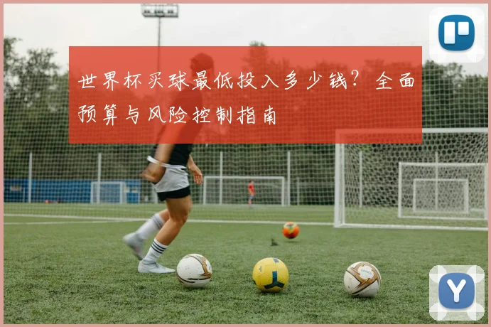 世界杯买球最低投入多少钱？全面预算与风险控制指南