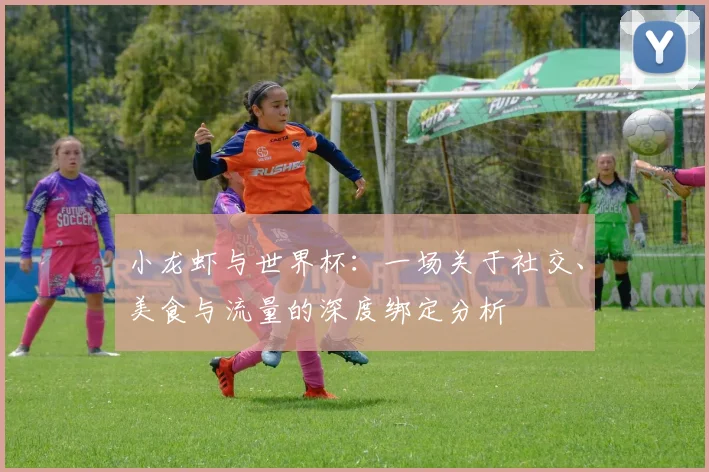 小龙虾与世界杯：一场关于社交、美食与流量的深度绑定分析