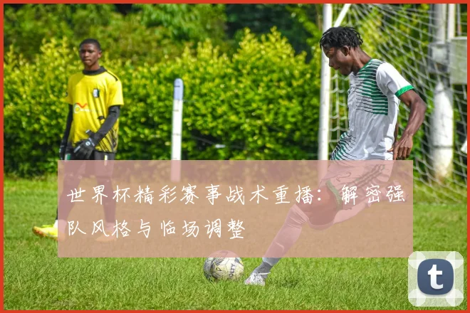 世界杯精彩赛事战术重播：解密强队风格与临场调整