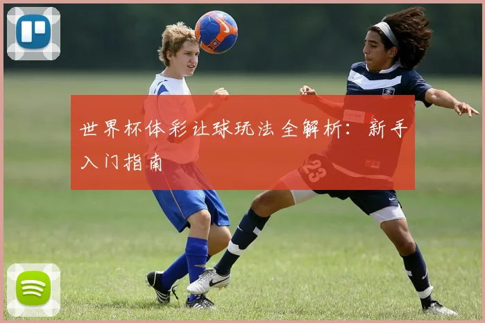 世界杯体彩让球玩法全解析：新手入门指南