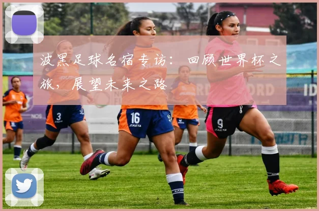 波黑足球名宿专访：回顾世界杯之旅，展望未来之路