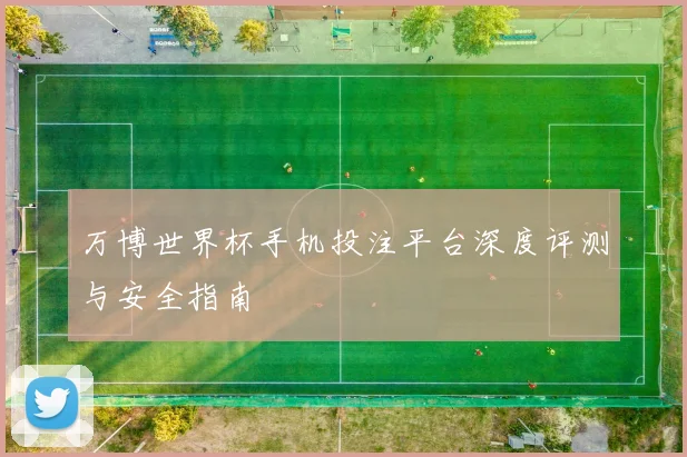 万博世界杯手机投注平台深度评测与安全指南